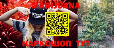 Альфа ПВП Новозыбков