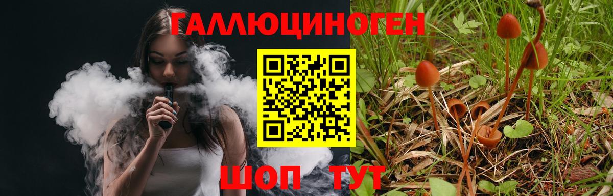 Галлюциногенные грибы GOLDEN TEACHER Таганрог